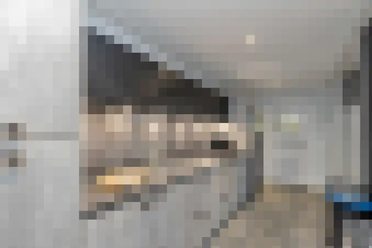 Heerenweg 152 Barsingerhorn thumbnail 15