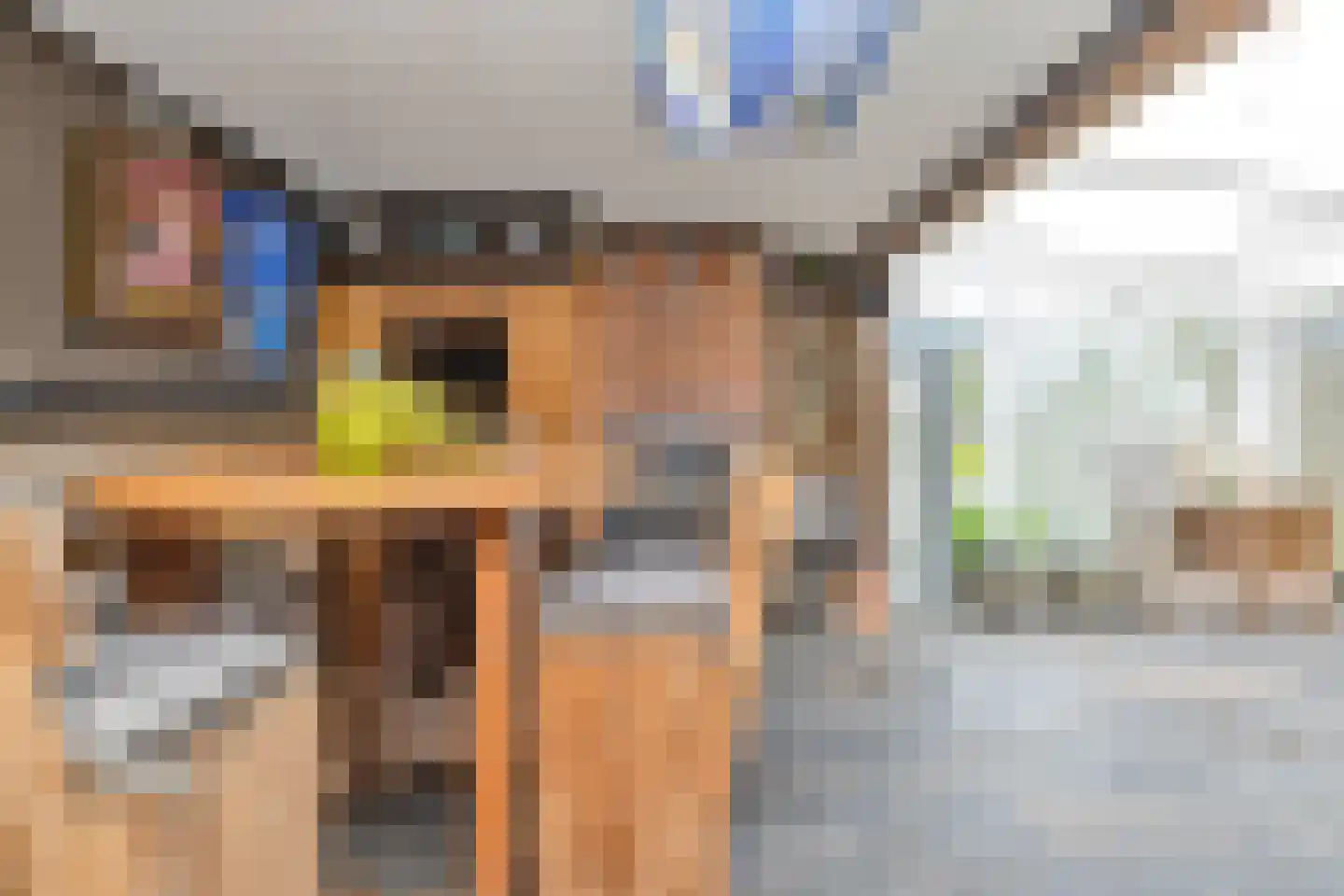 Heerenweg 152 Barsingerhorn thumbnail 41