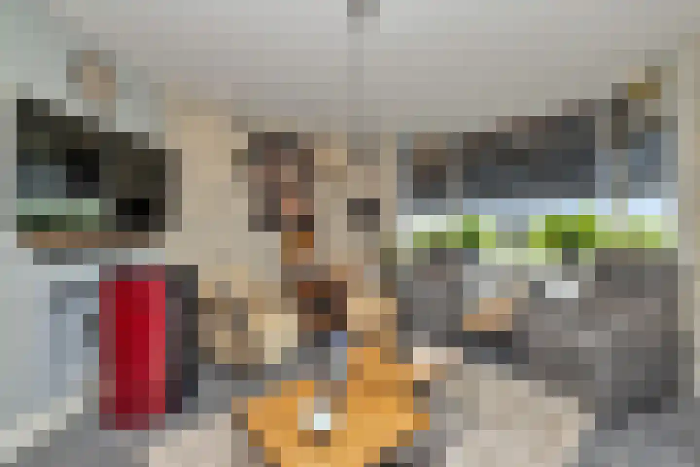 Heerenweg 152 Barsingerhorn thumbnail 9