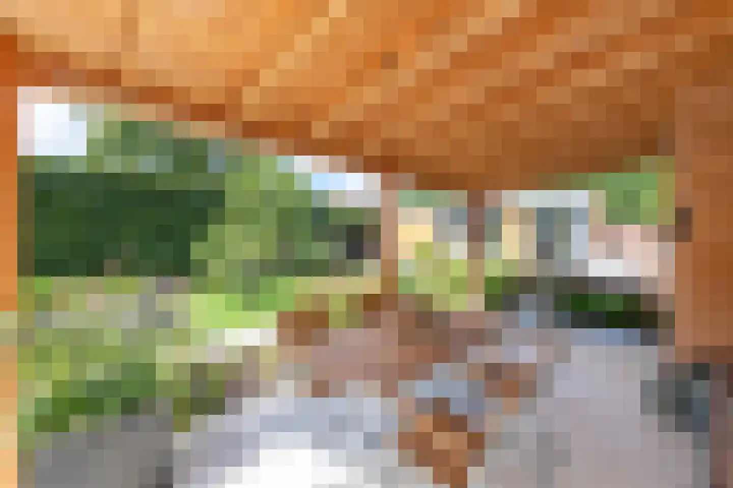 Heerenweg 175 Heiloo thumbnail 36