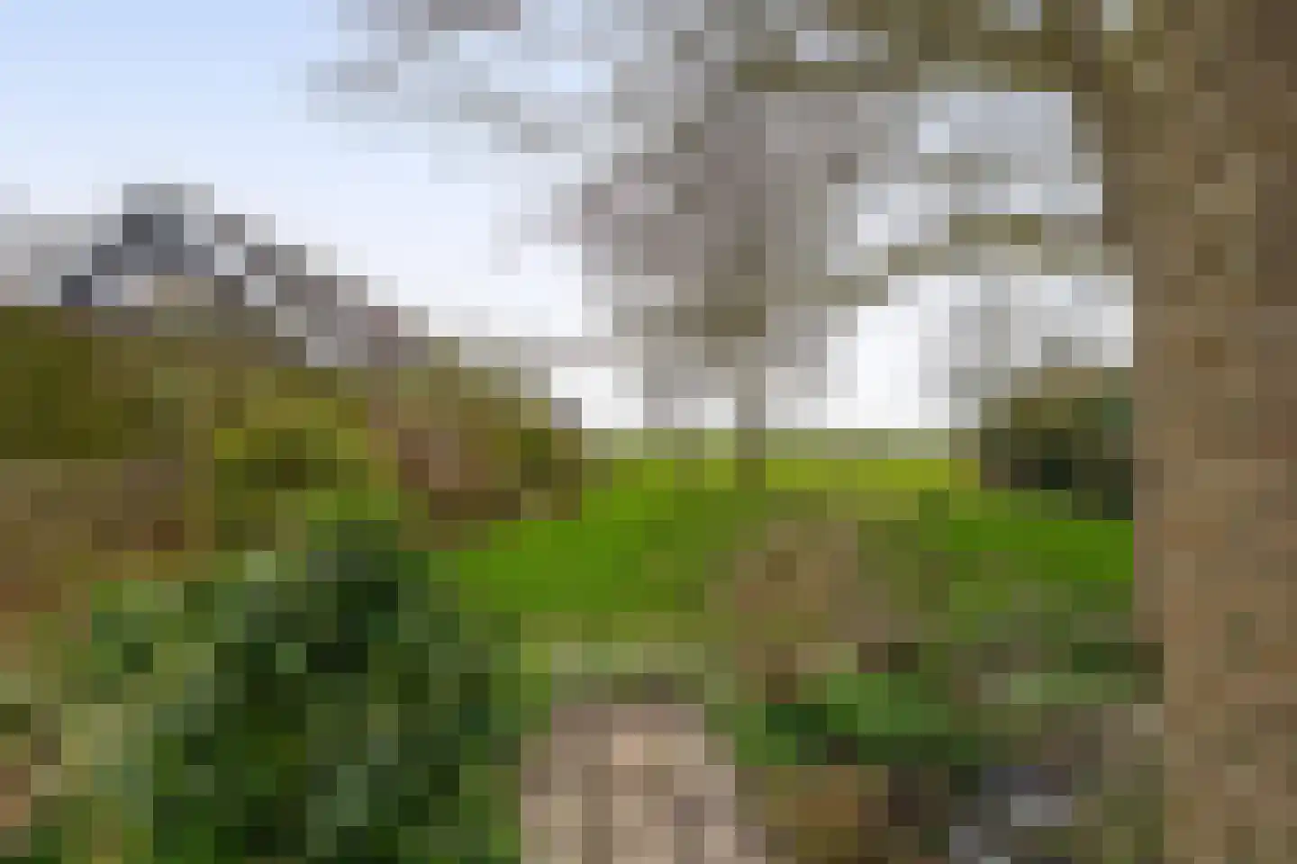 Heerenweg 176 Barsingerhorn thumbnail 28
