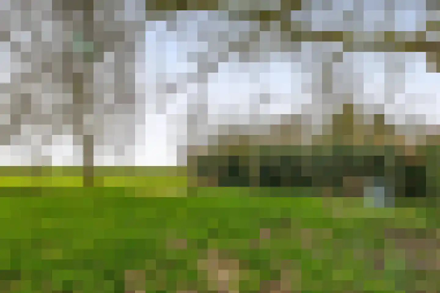 Heerenweg 176 Barsingerhorn thumbnail 29
