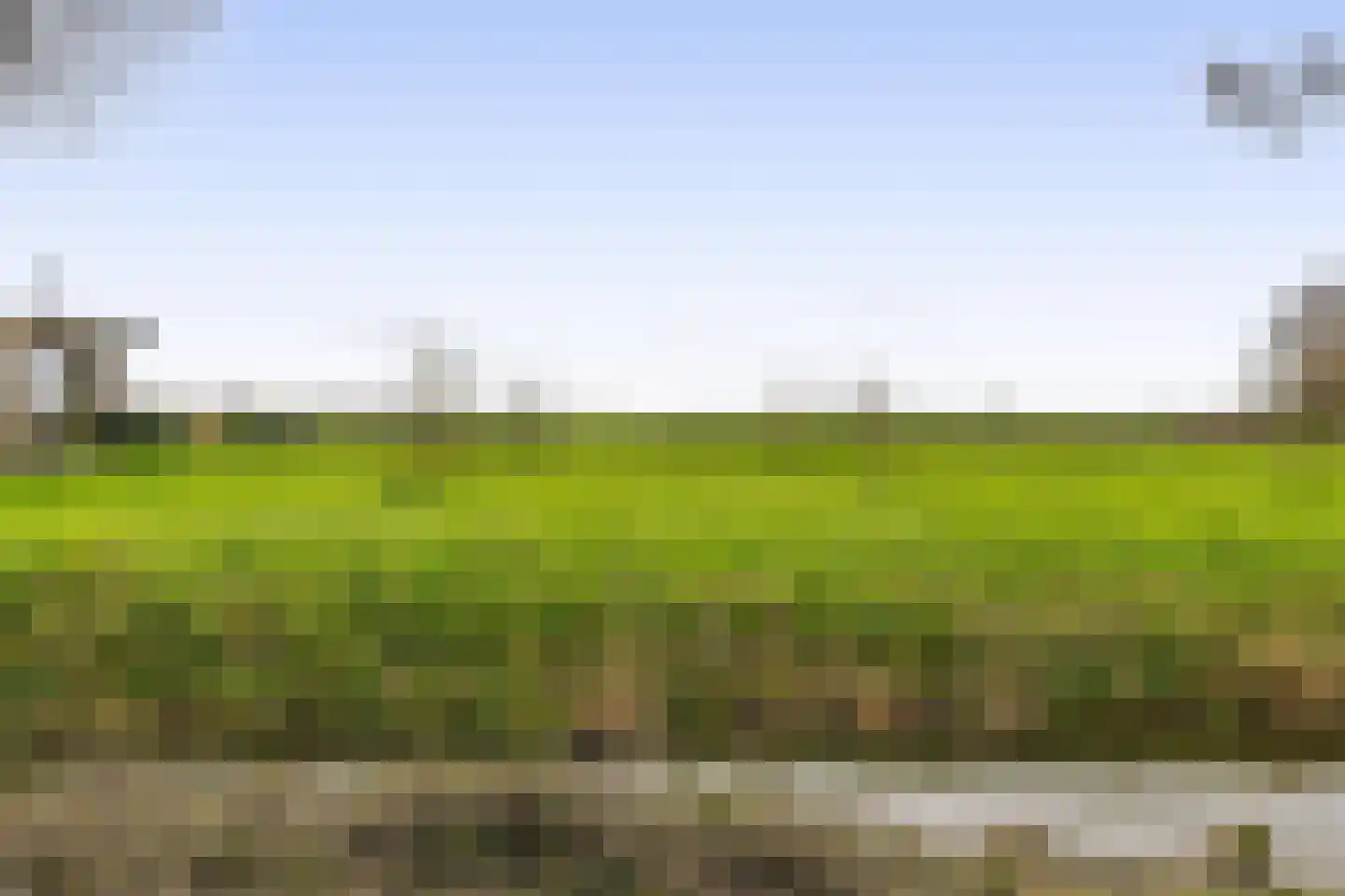 Heerenweg 176 Barsingerhorn thumbnail 32