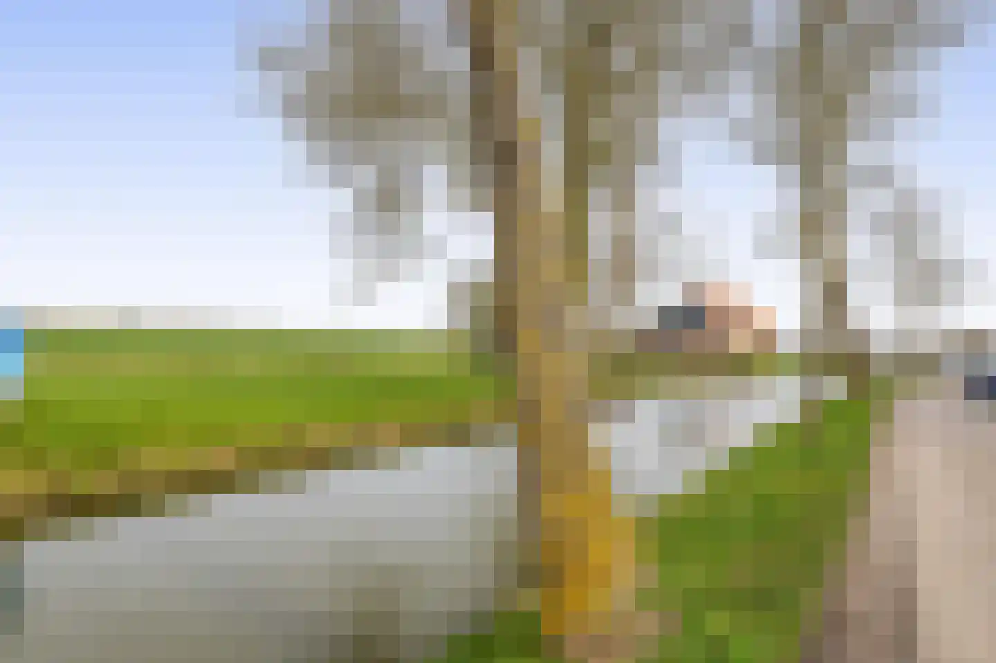 Heerenweg 176 Barsingerhorn thumbnail 48