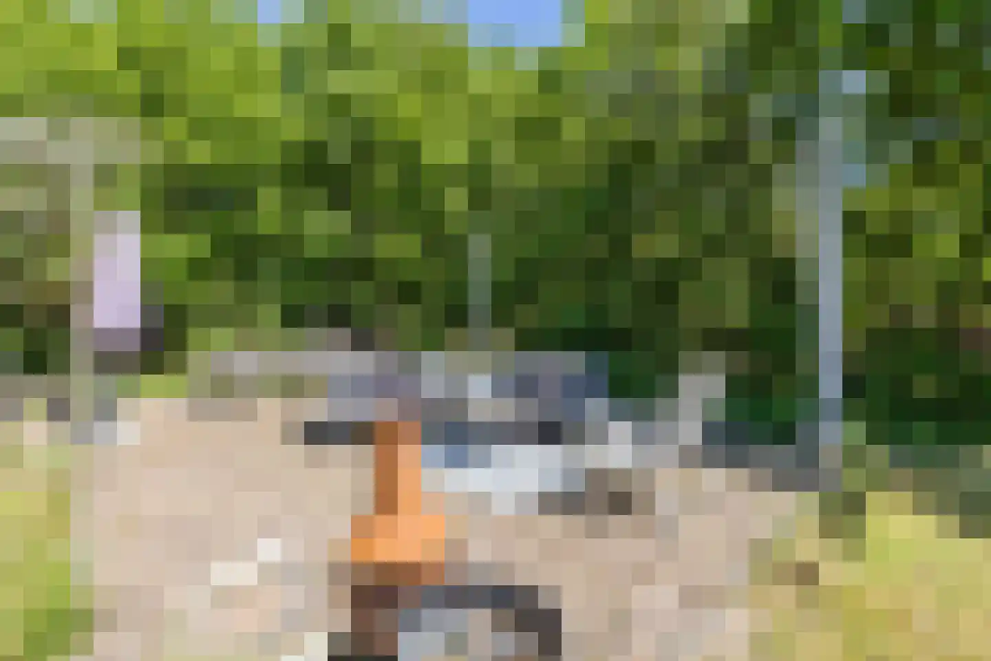 Heerenweg 18 IJhorst thumbnail 54