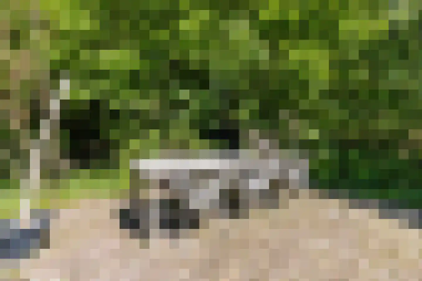 Heerenweg 18 IJhorst thumbnail 55