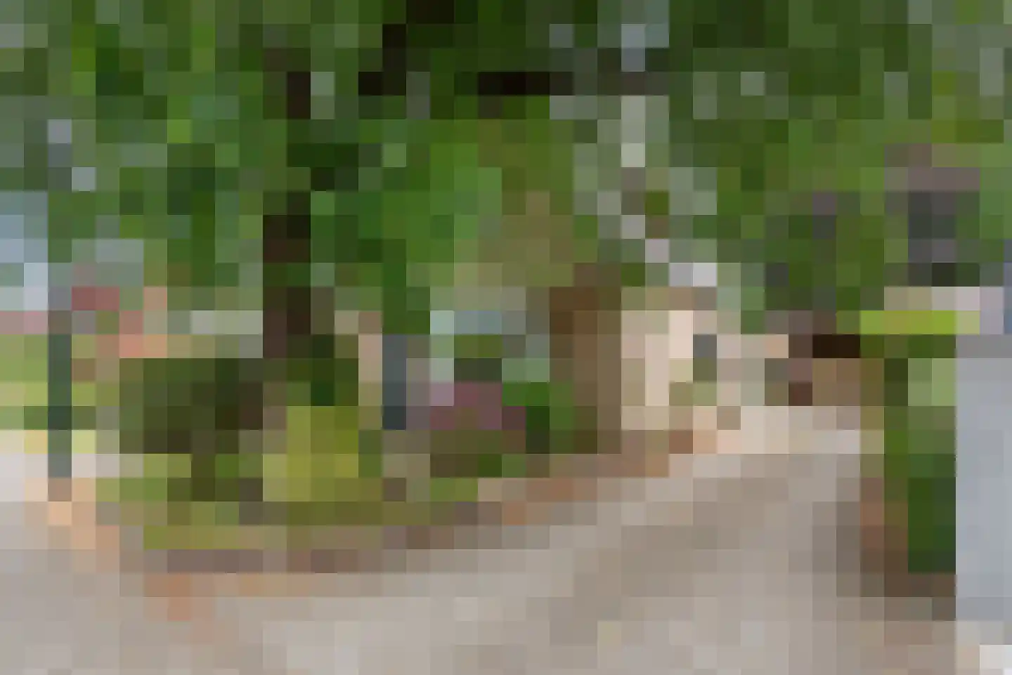 Heerenweg 196 Heiloo thumbnail 41