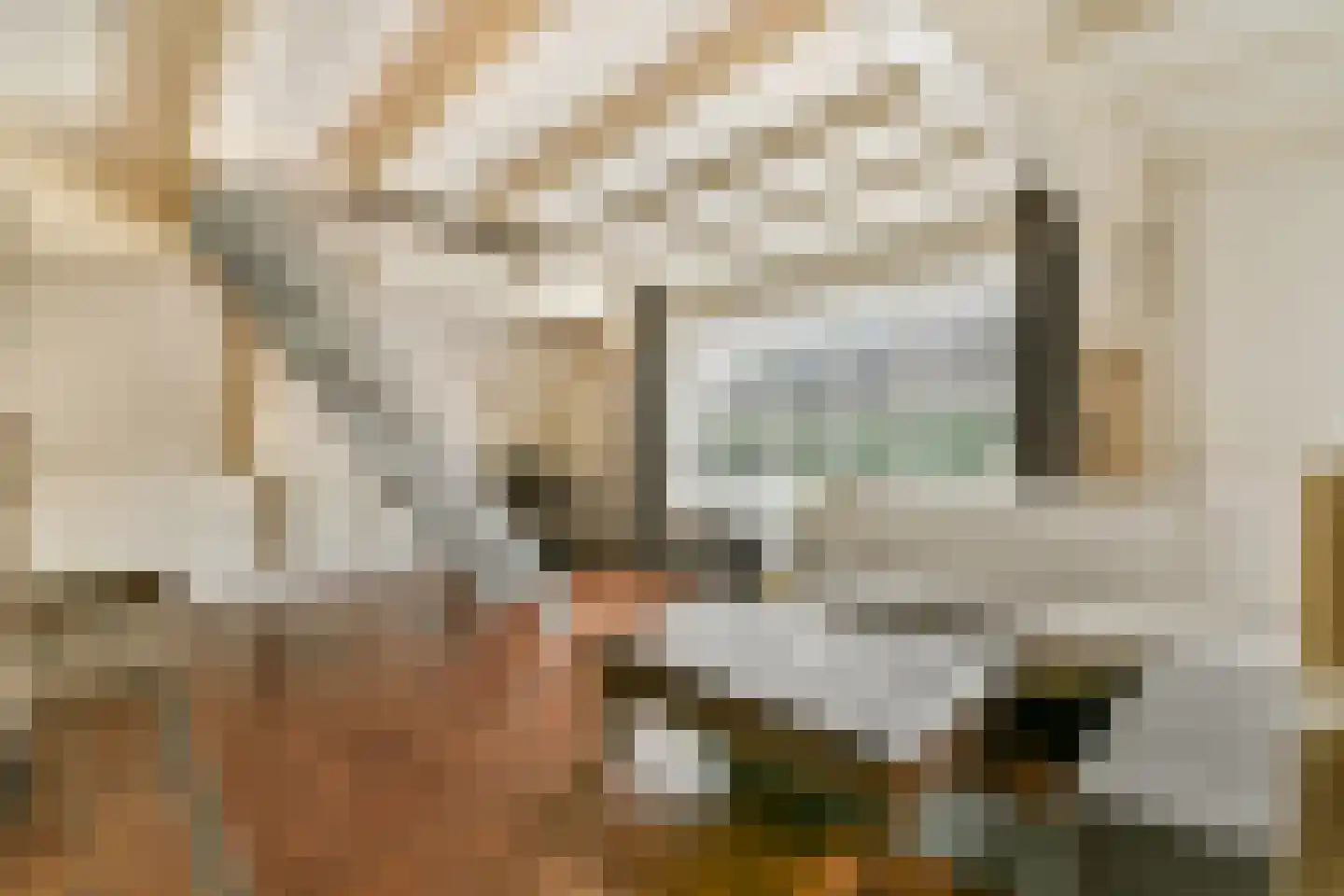 Heerenweg 201 Heiloo thumbnail 4