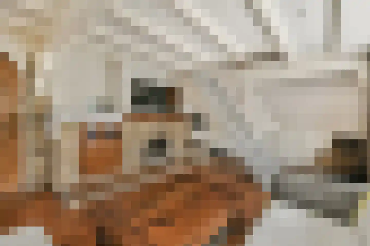 Heerenweg 201 Heiloo thumbnail 5