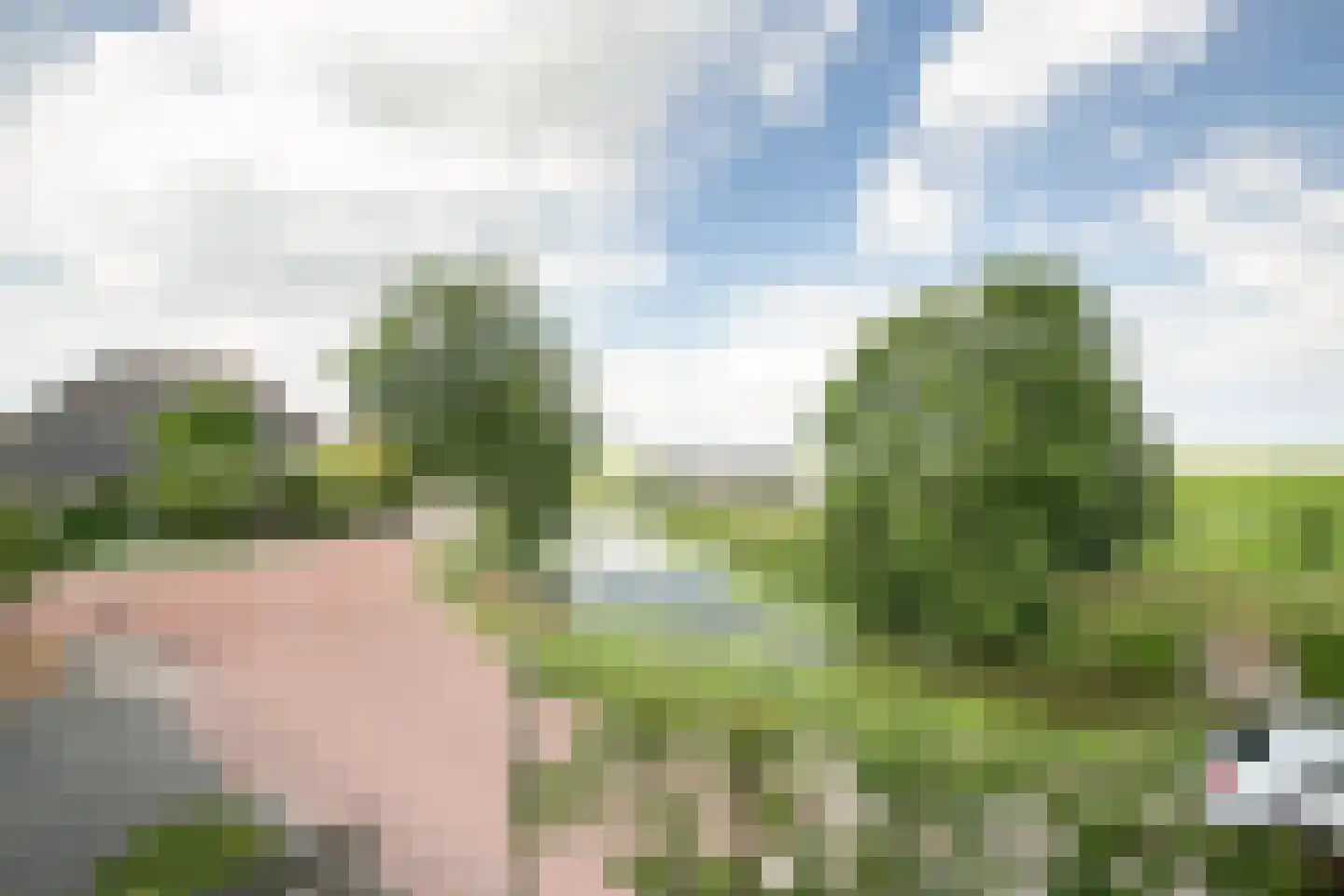 Heerenweg 212 Barsingerhorn thumbnail 28