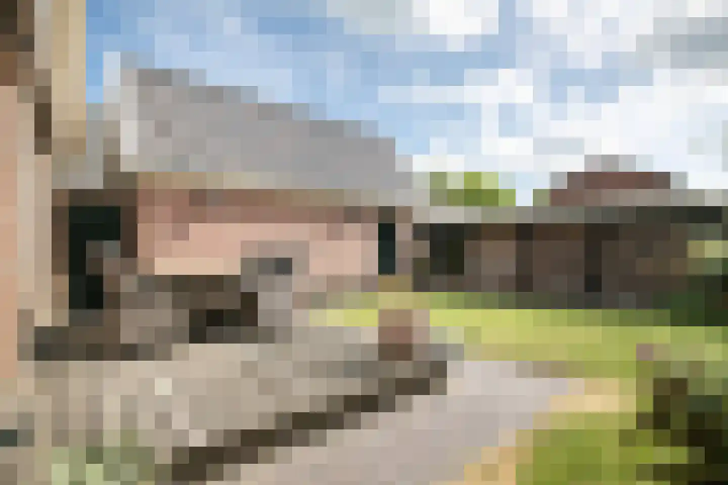 Heerenweg 212 Barsingerhorn thumbnail 29