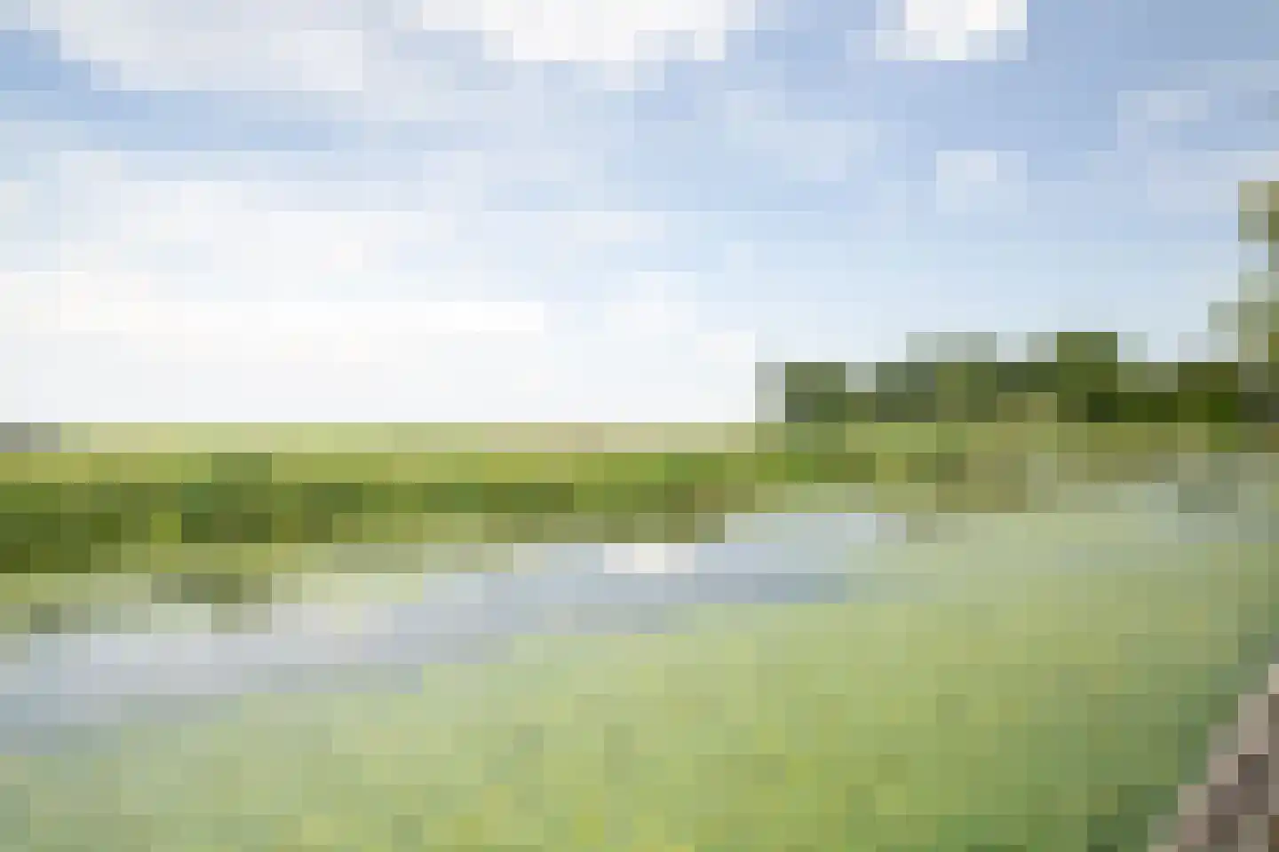 Heerenweg 212 Barsingerhorn thumbnail 38