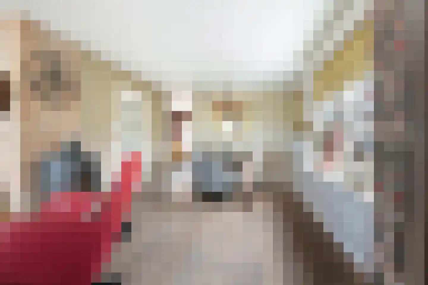 Heerenweg 212 Barsingerhorn thumbnail 5