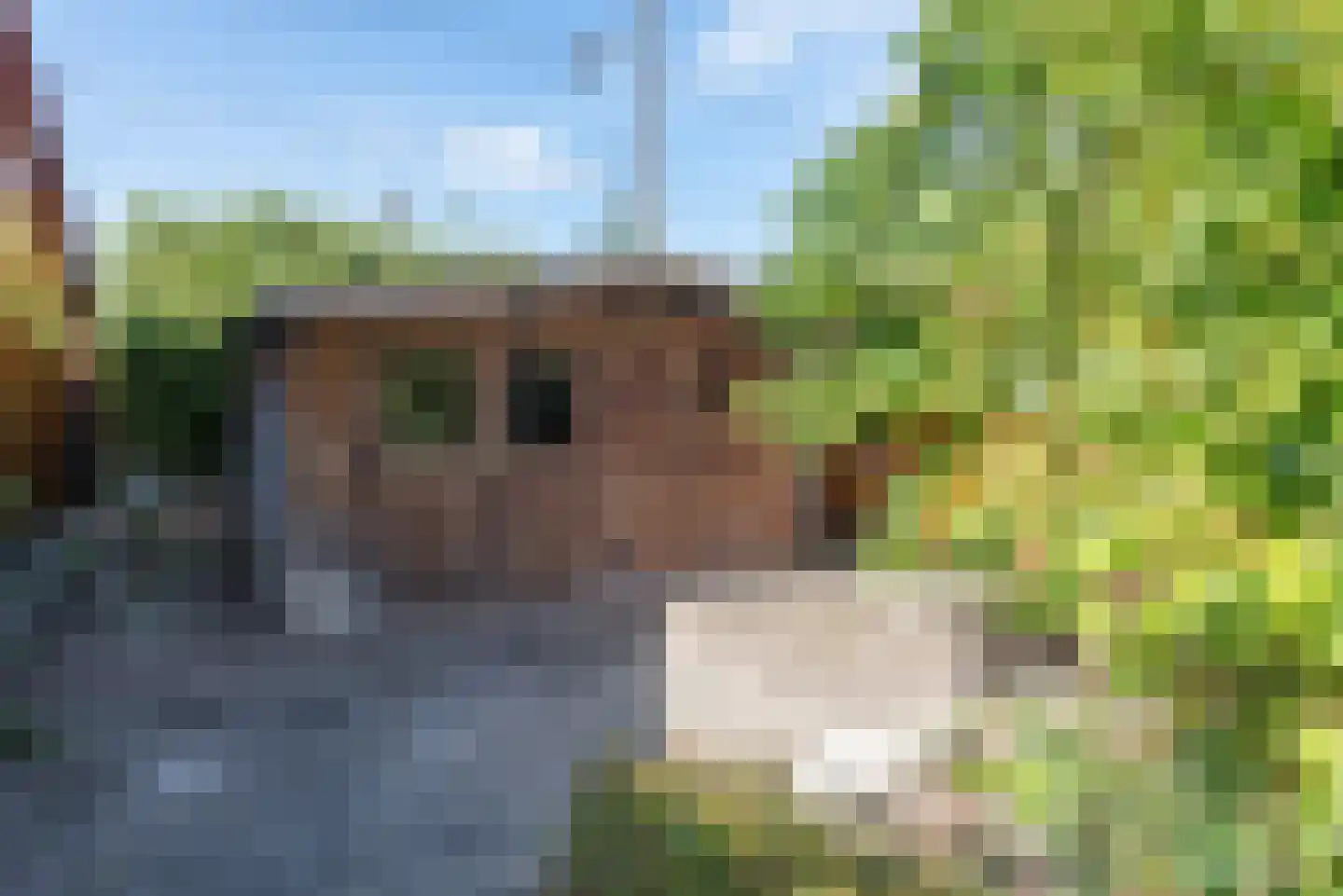Heerenweg 225 Heiloo thumbnail 33