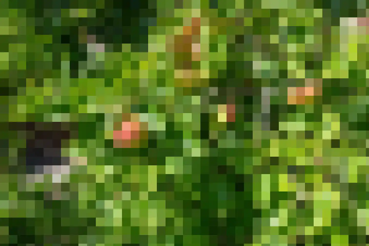 Heerenweg 225 Heiloo thumbnail 34