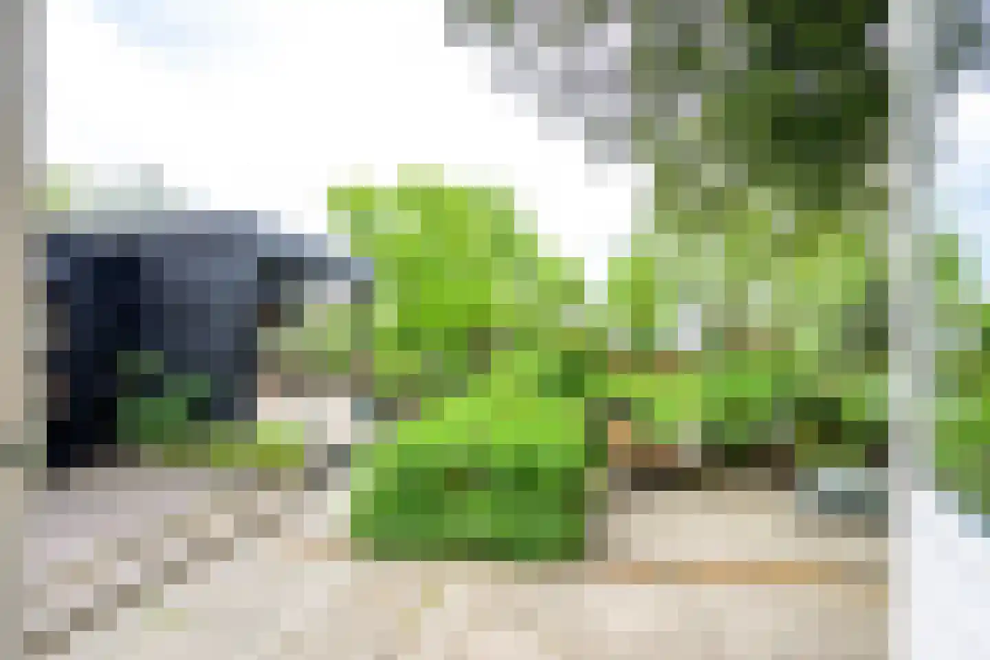 Heerenweg 226 Barsingerhorn thumbnail 13