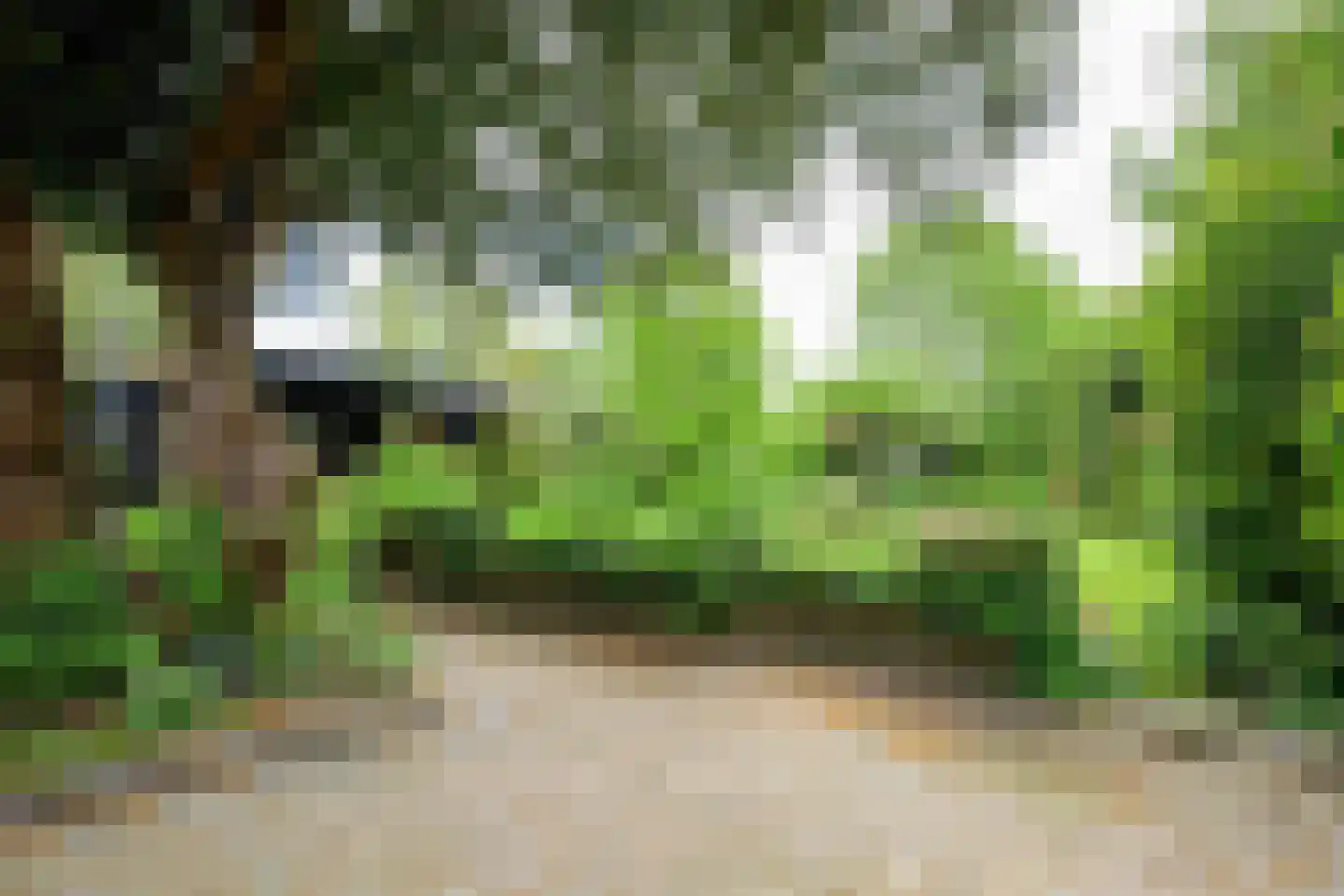 Heerenweg 226 Barsingerhorn thumbnail 14