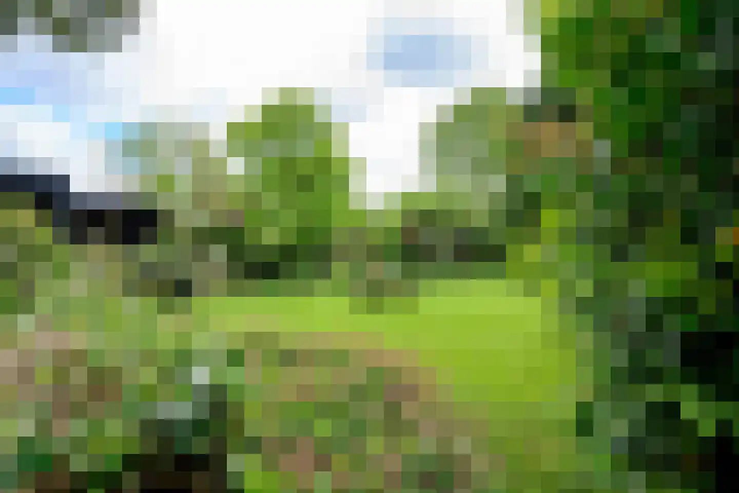 Heerenweg 226 Barsingerhorn thumbnail 15