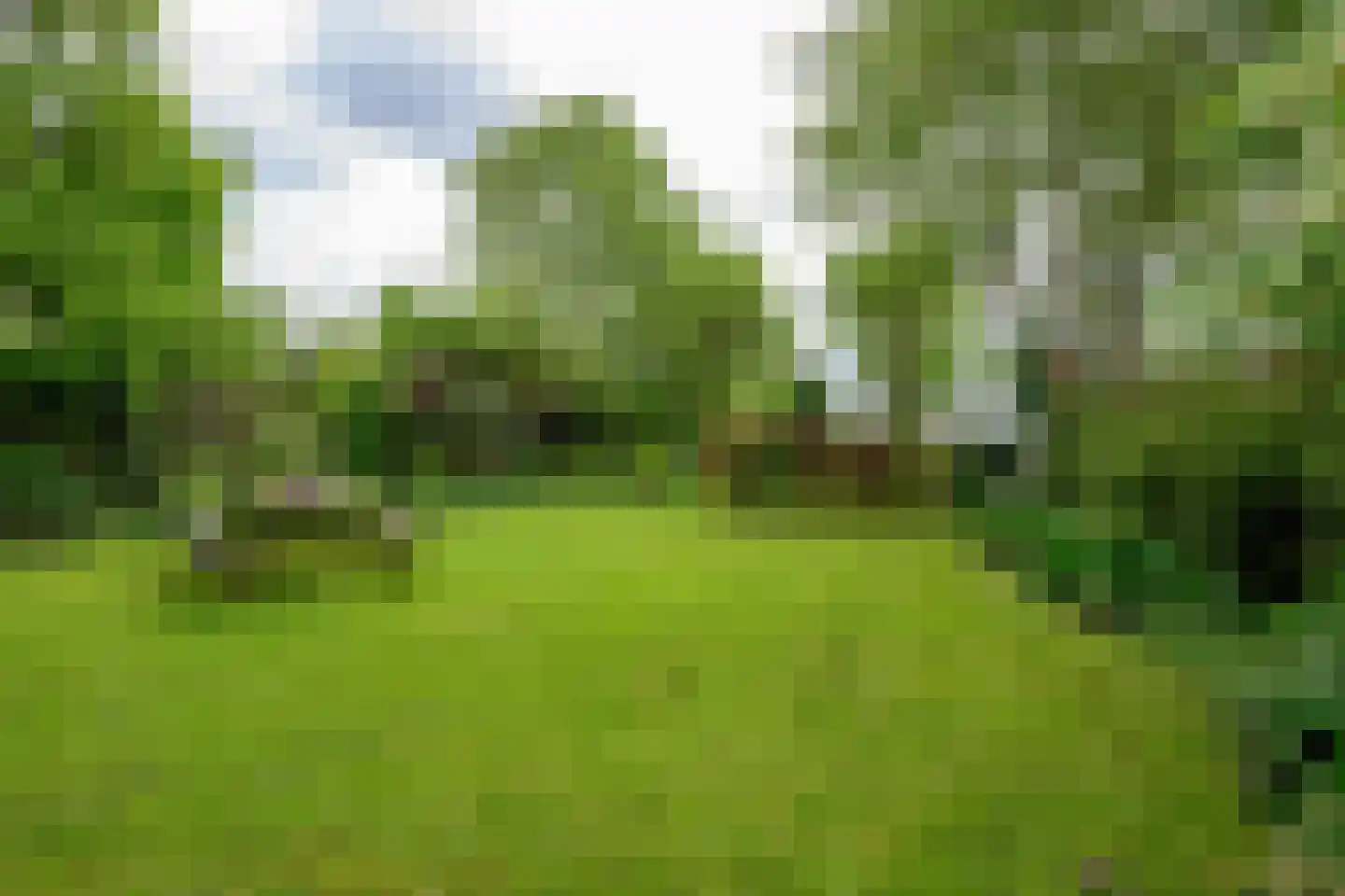Heerenweg 226 Barsingerhorn thumbnail 16
