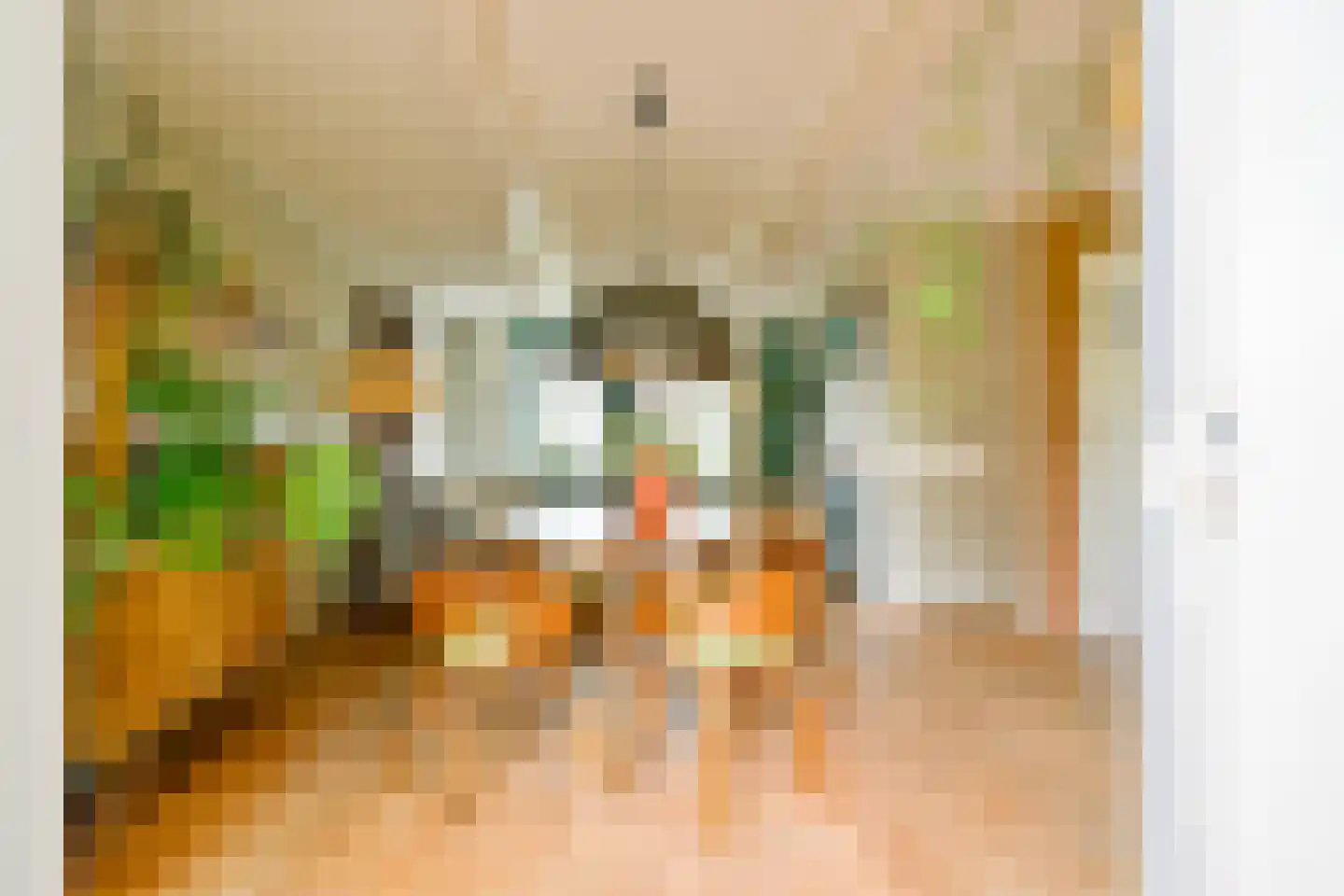 Heerenweg 226 Barsingerhorn thumbnail 18