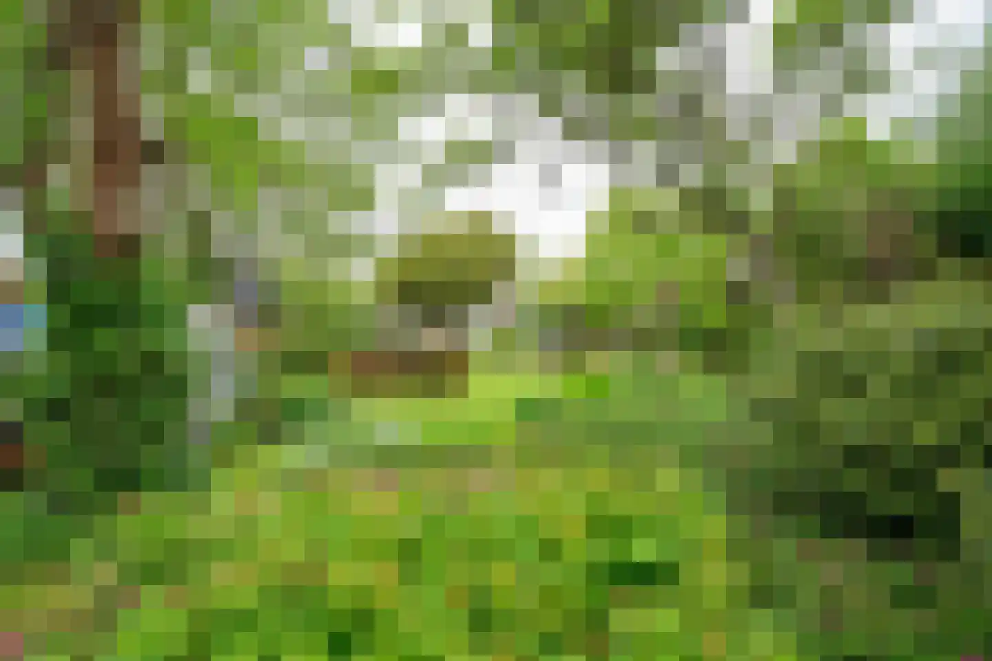 Heerenweg 226 Barsingerhorn thumbnail 19