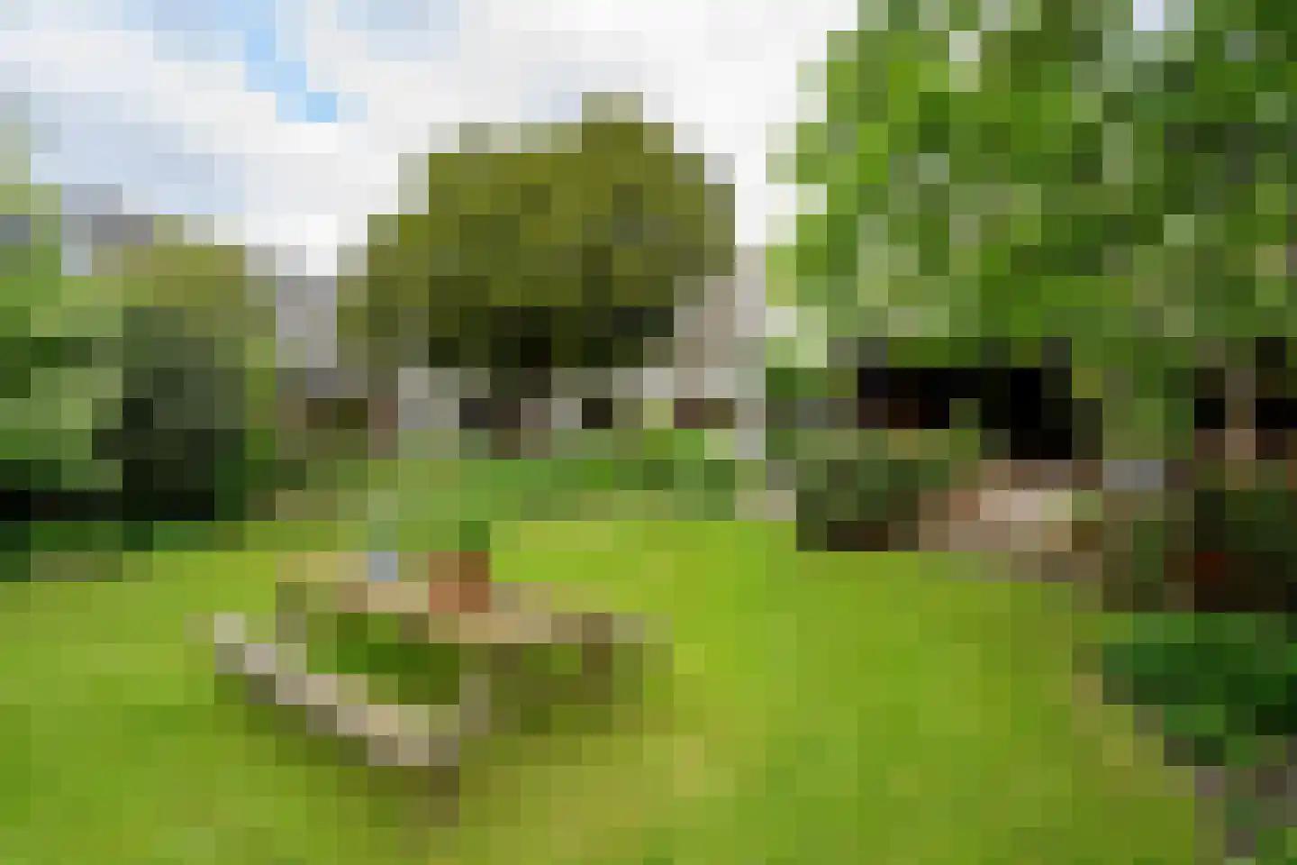 Heerenweg 226 Barsingerhorn thumbnail 21