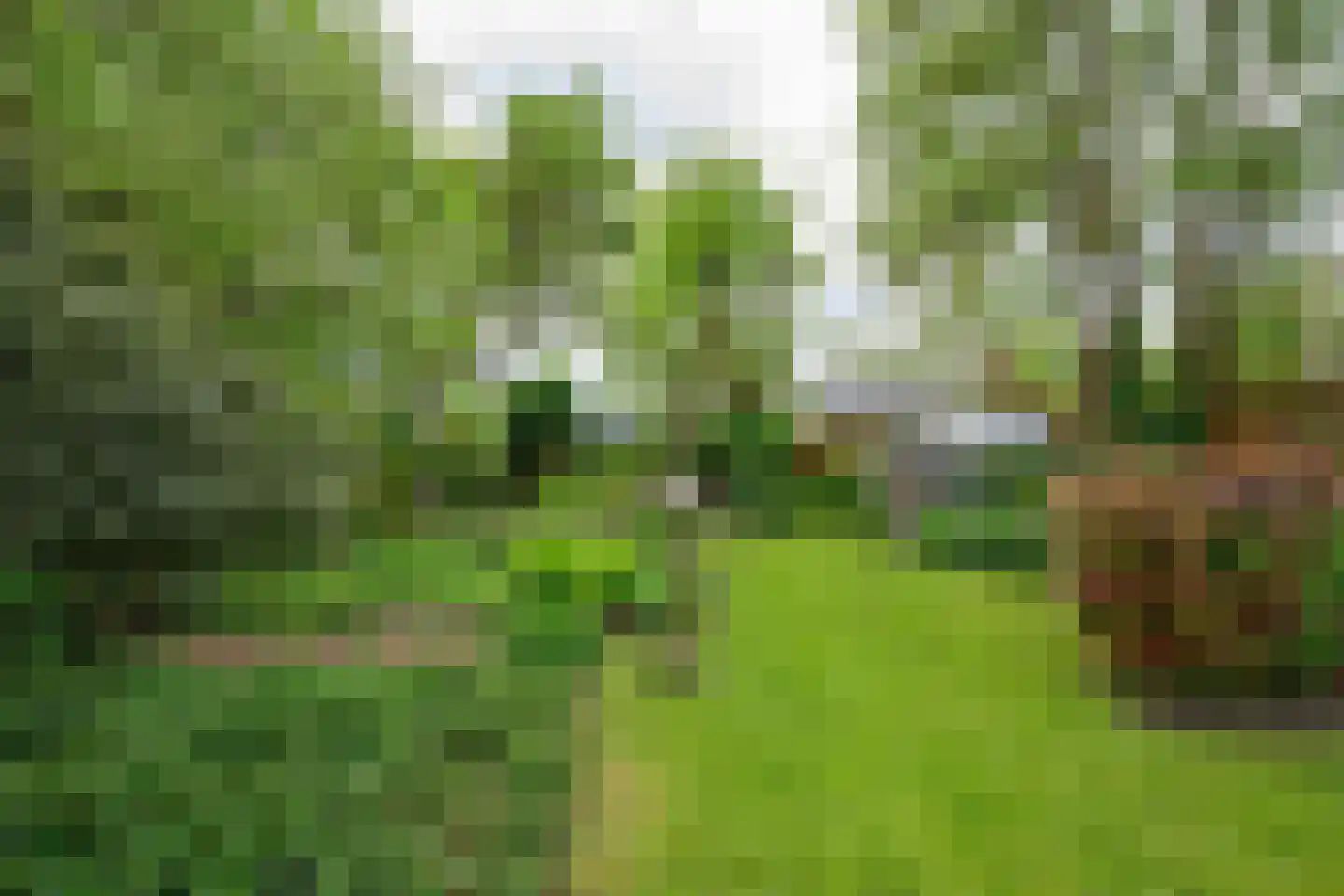 Heerenweg 226 Barsingerhorn thumbnail 22