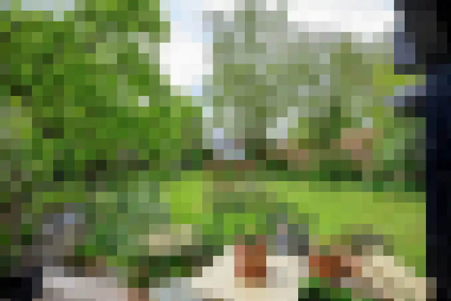 Heerenweg 226 Barsingerhorn thumbnail 24