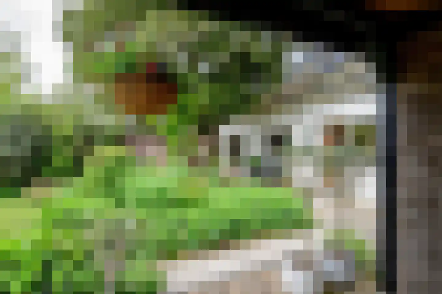 Heerenweg 226 Barsingerhorn thumbnail 25