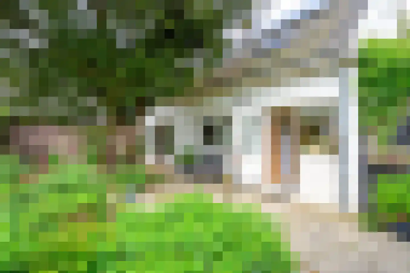 Heerenweg 226 Barsingerhorn thumbnail 26