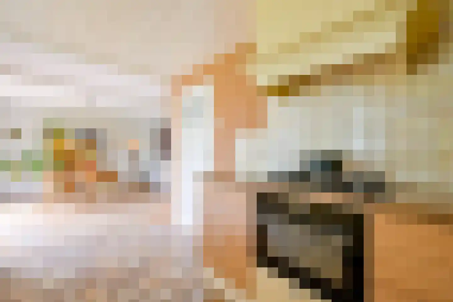 Heerenweg 226 Barsingerhorn thumbnail 31