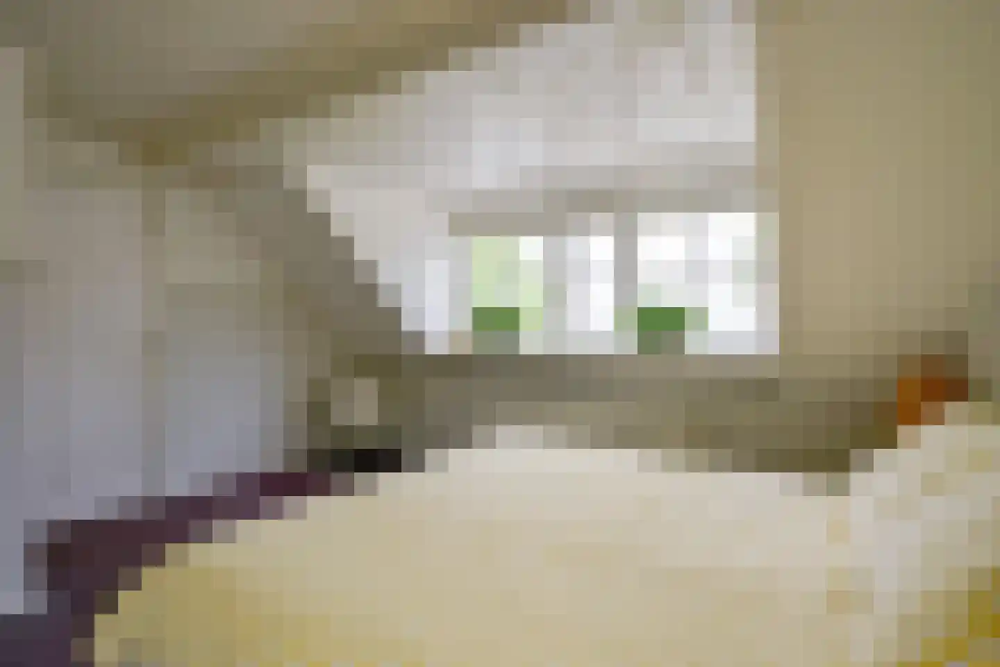 Heerenweg 226 Barsingerhorn thumbnail 37