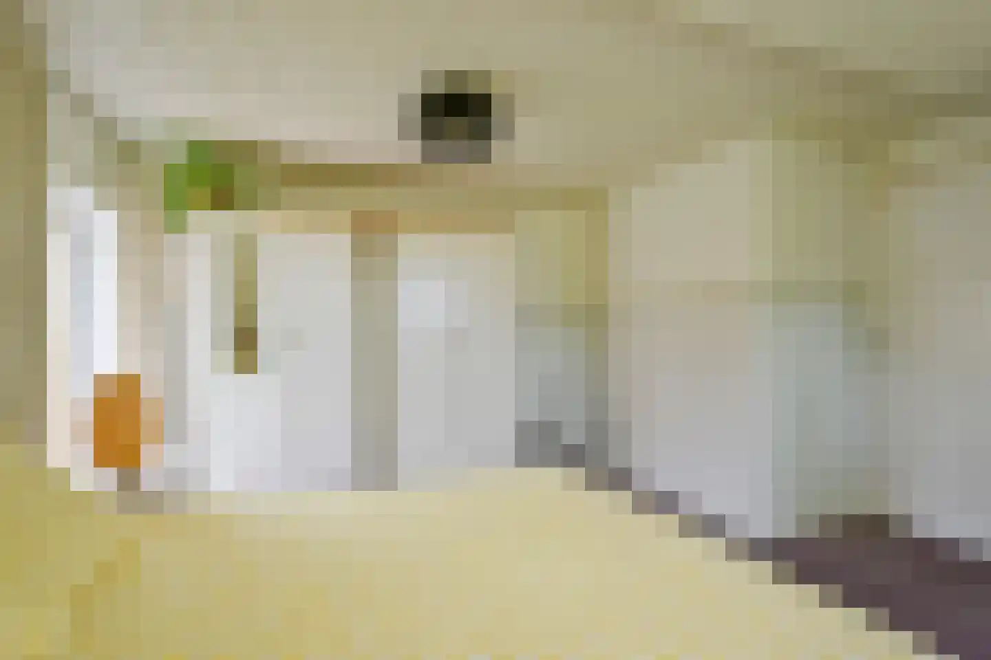 Heerenweg 226 Barsingerhorn thumbnail 38