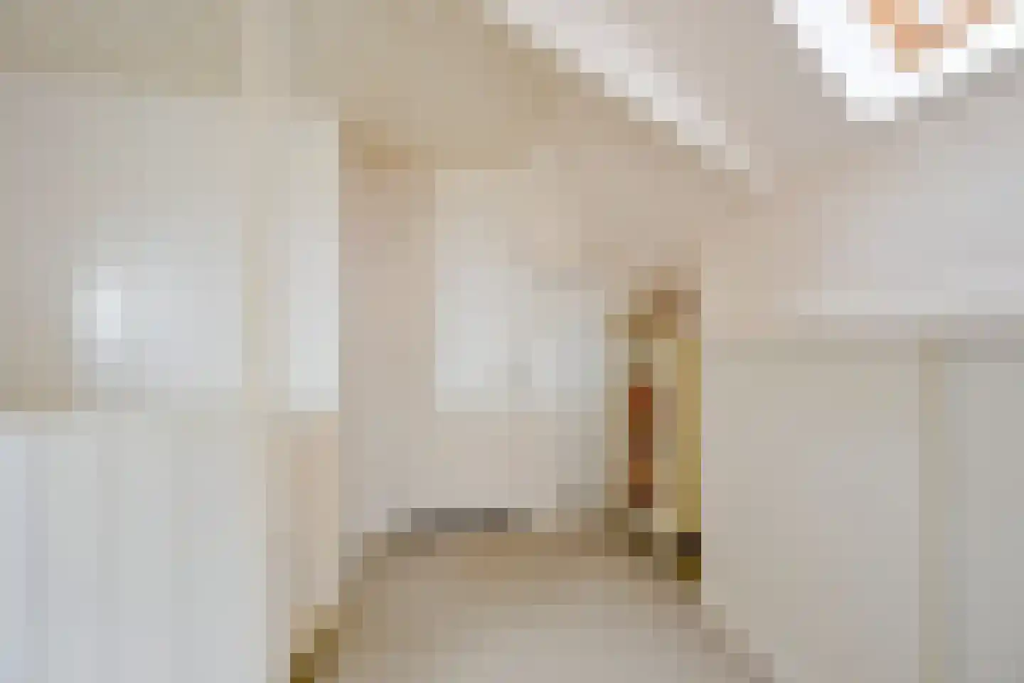Heerenweg 226 Barsingerhorn thumbnail 45
