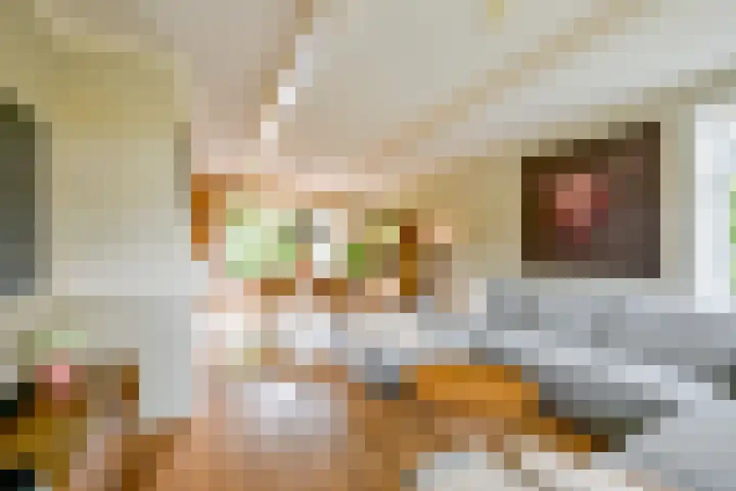 Heerenweg 226 Barsingerhorn thumbnail 7