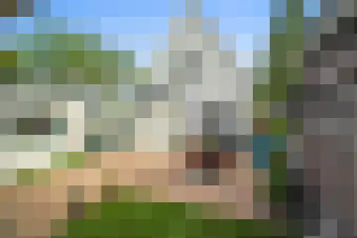 Heerenweg 228 Barsingerhorn thumbnail 15