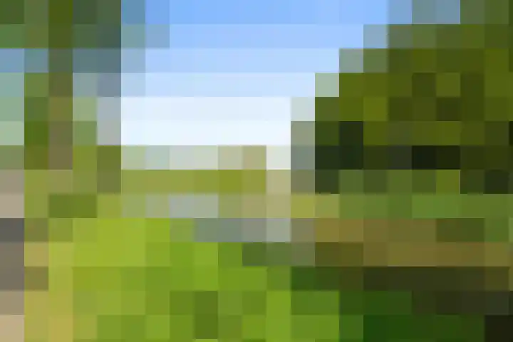 Heerenweg 228 Barsingerhorn thumbnail 27