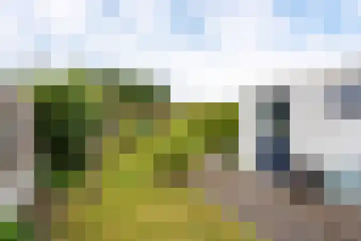 Heerenweg 237 Heiloo thumbnail 33