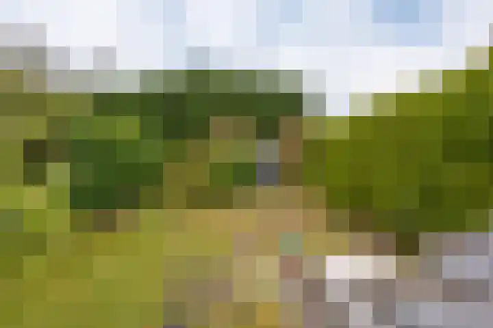 Heerenweg 237 Heiloo thumbnail 35