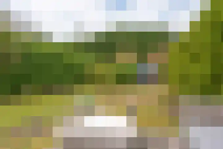 Heerenweg 237 Heiloo thumbnail 36