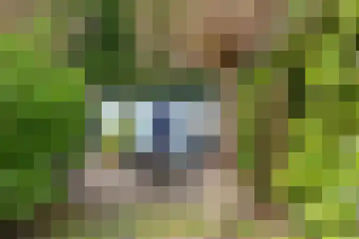 Heerenweg 237 Heiloo thumbnail 37