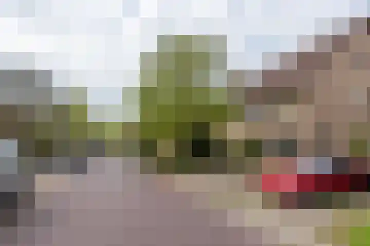 Heerenweg 237 Heiloo thumbnail 45