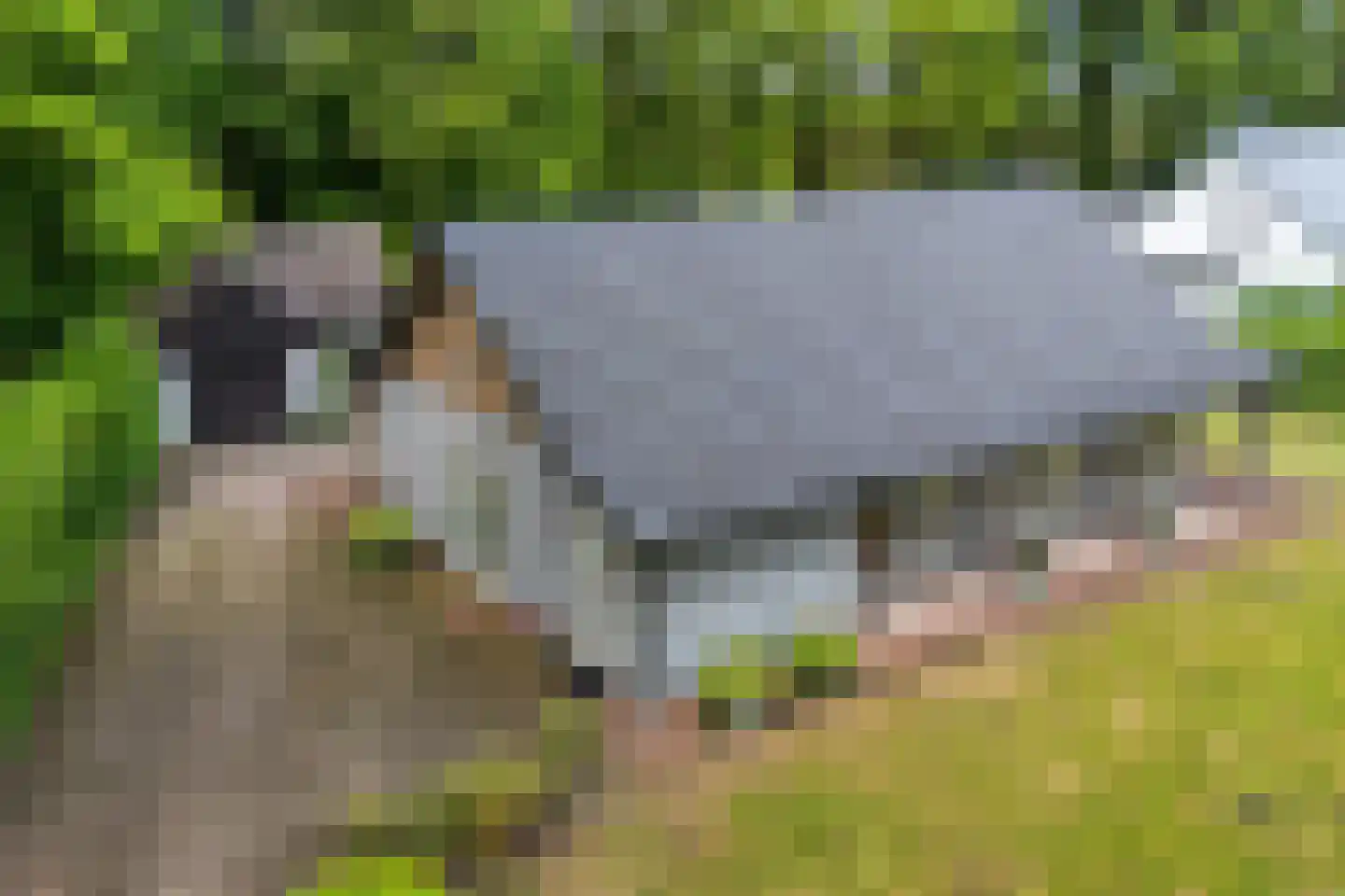 Heerenweg 25 IJhorst thumbnail 27
