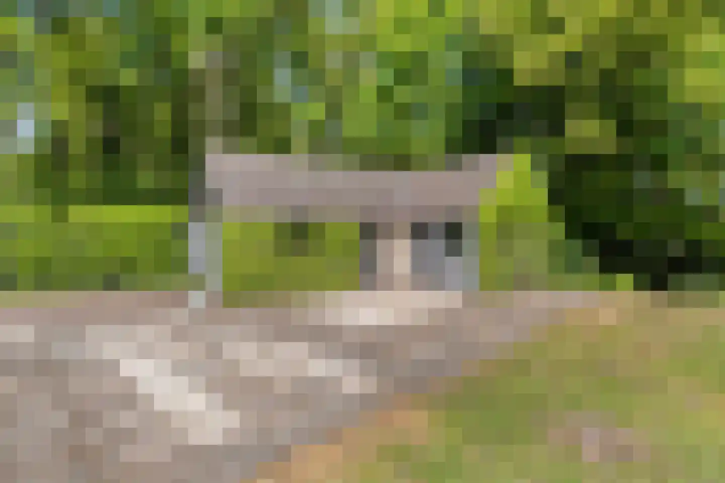 Heerenweg 25 IJhorst thumbnail 28