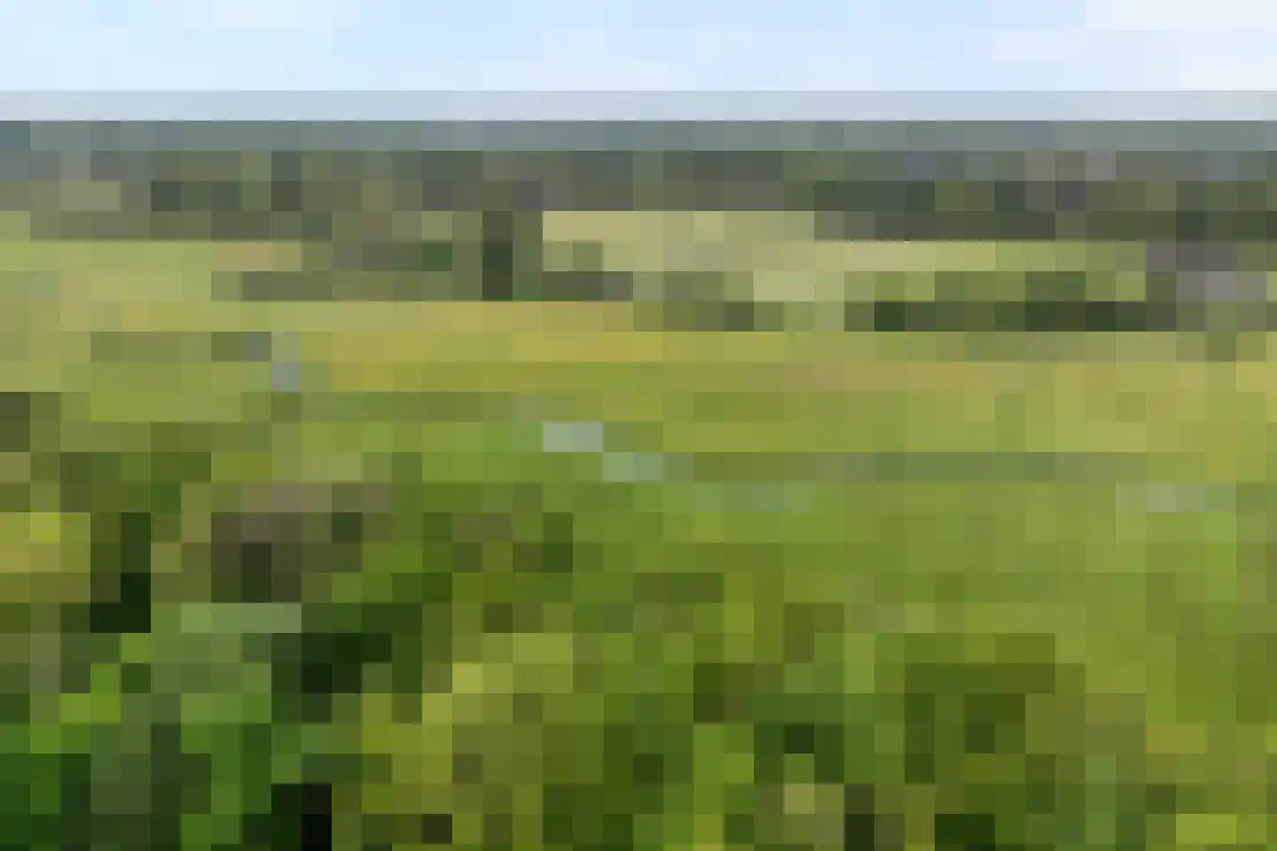 Heerenweg 25 IJhorst thumbnail 40