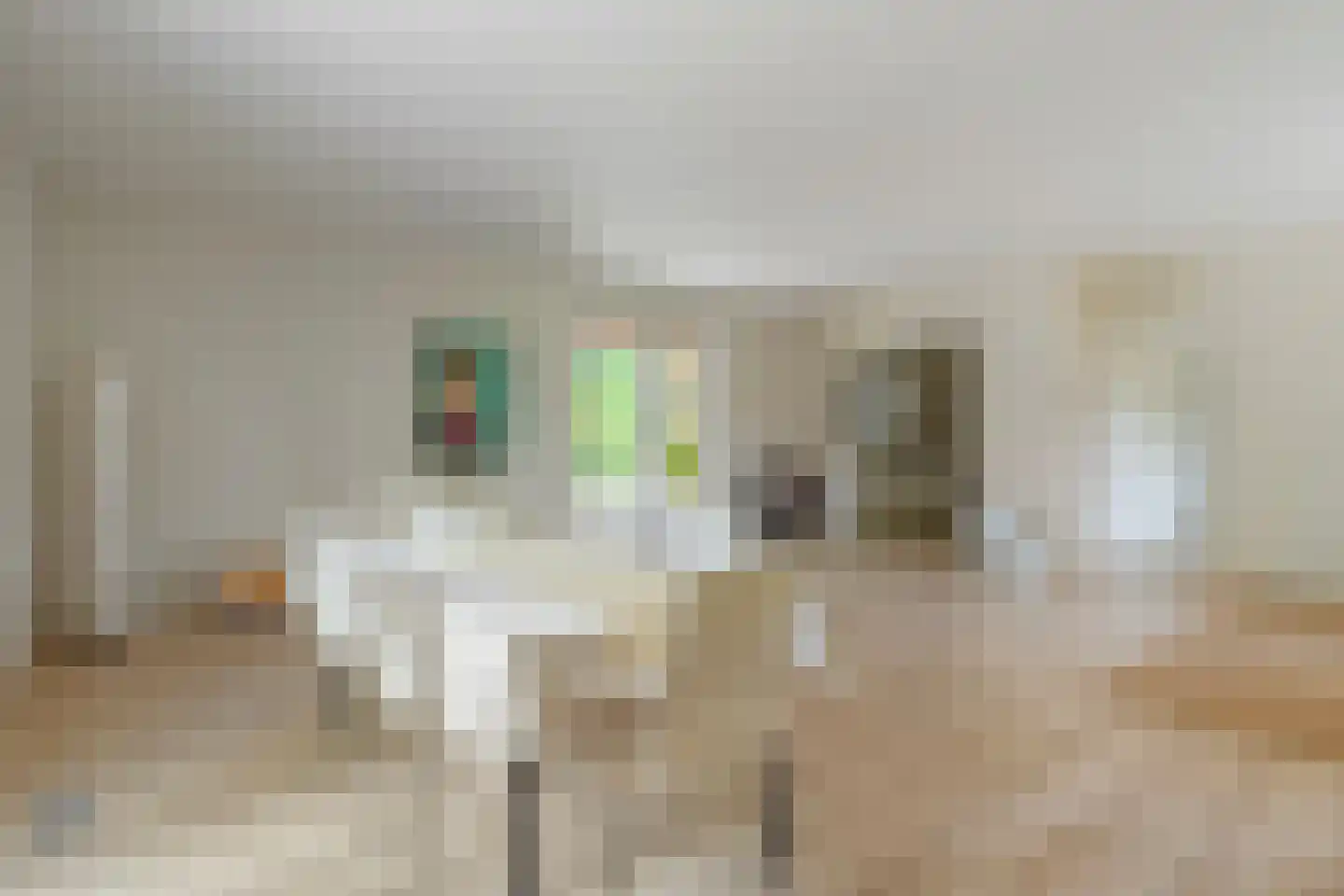 Heerenweg 25 IJhorst thumbnail 8