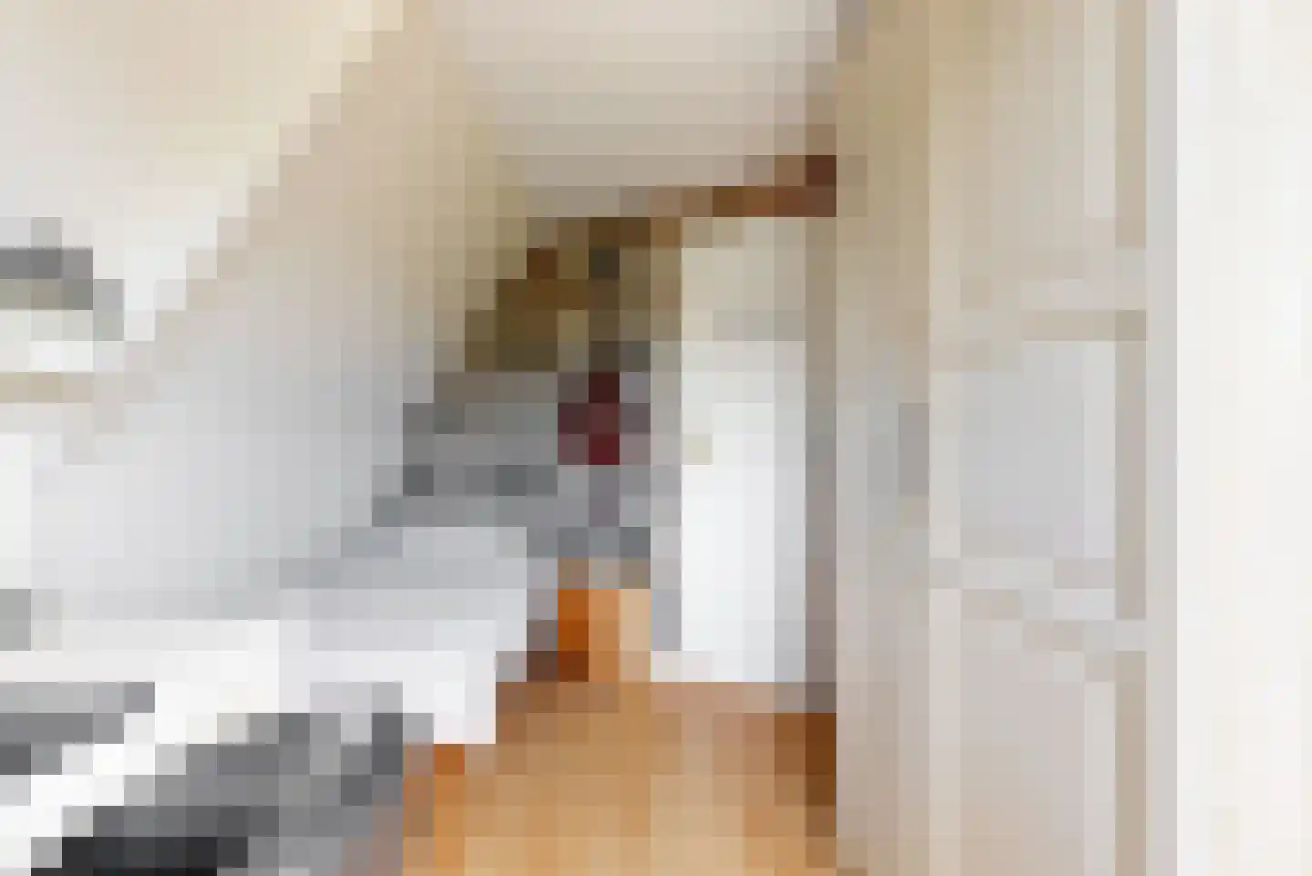 Heerenweg 253 Heiloo thumbnail 33