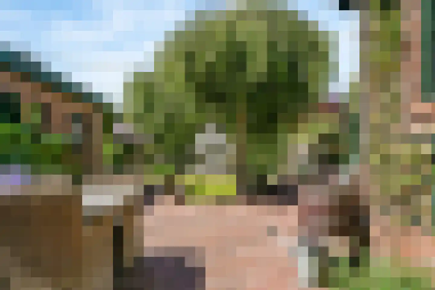 Heerenweg 253 Heiloo thumbnail 4