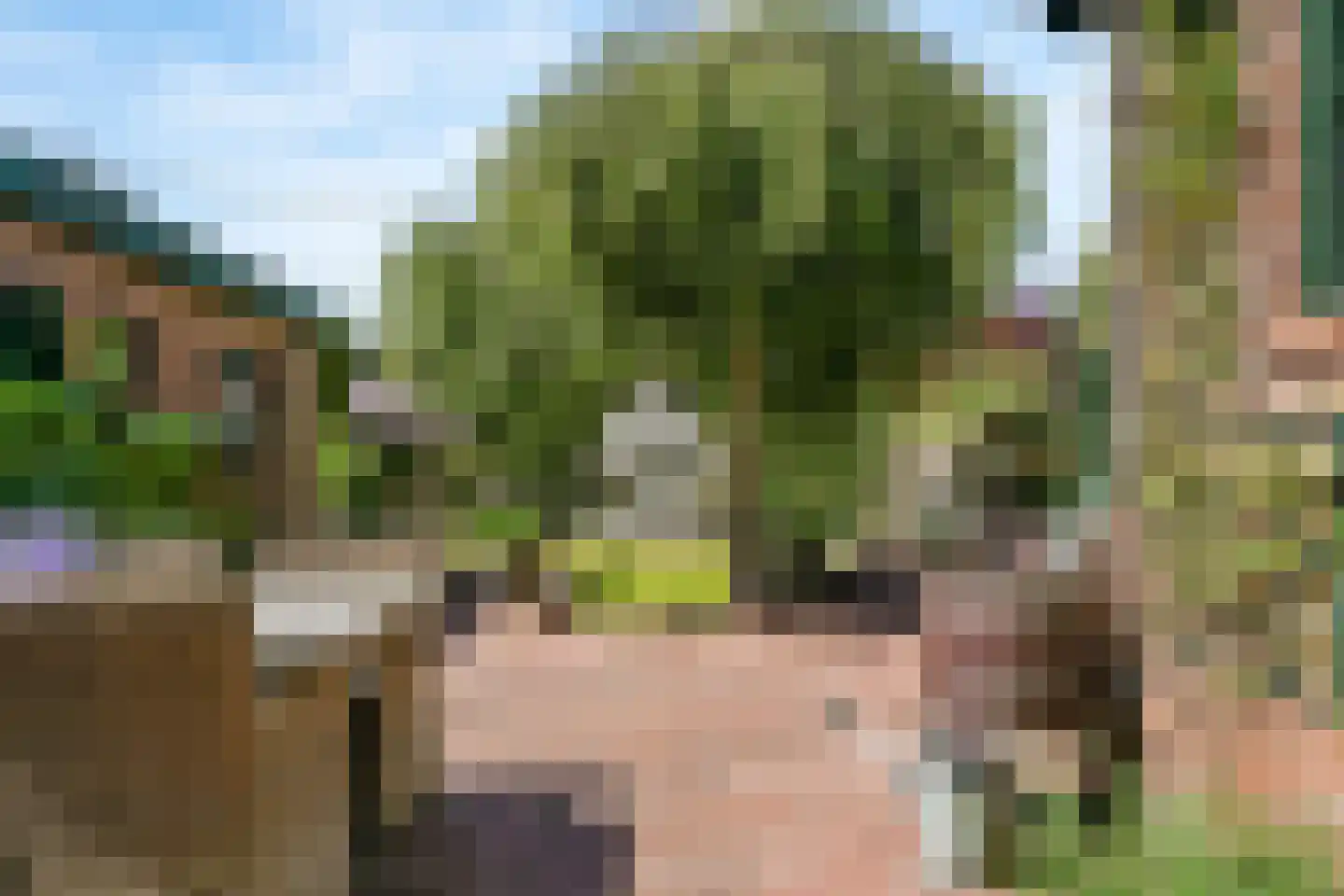 Heerenweg 253 Heiloo thumbnail 47