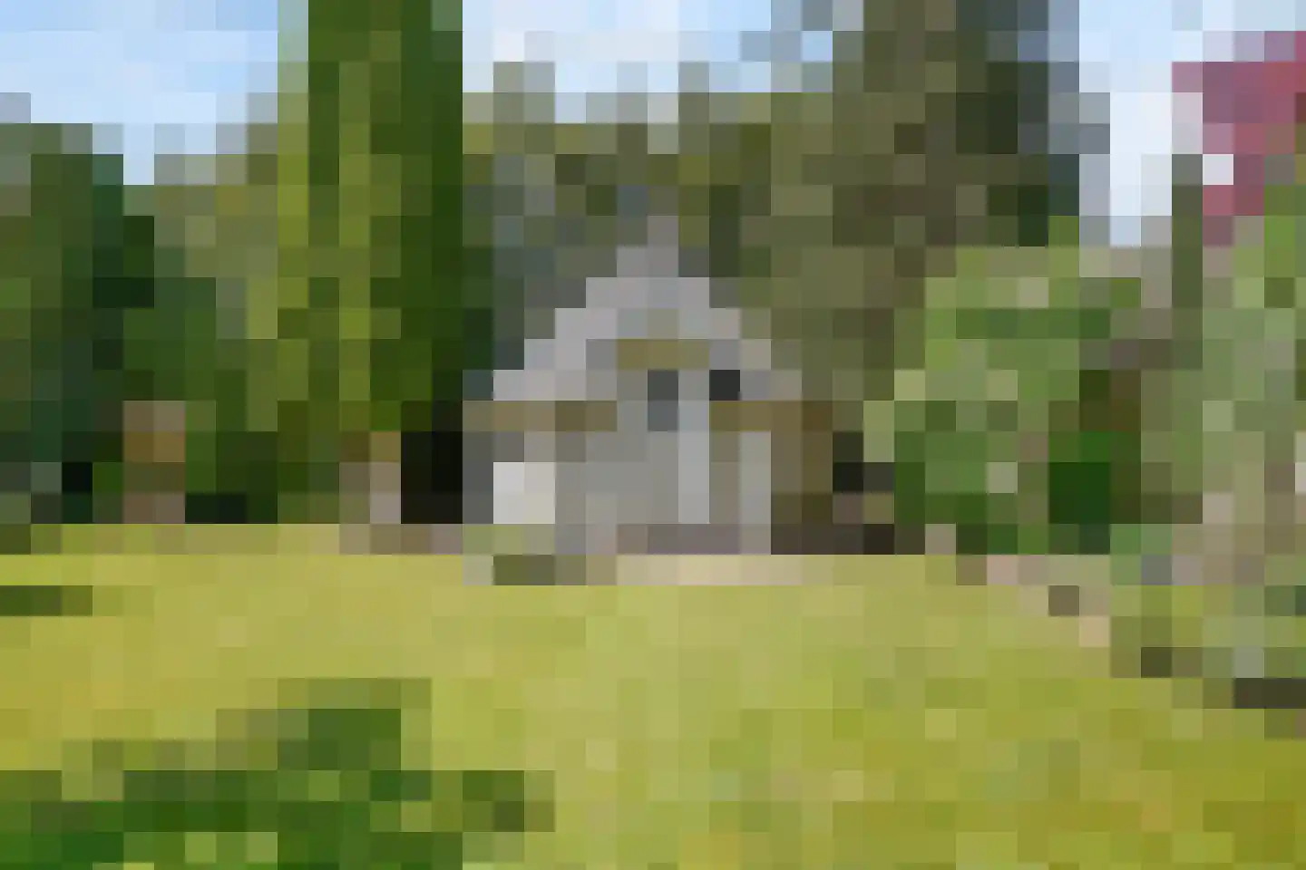 Heerenweg 253 Heiloo thumbnail 56